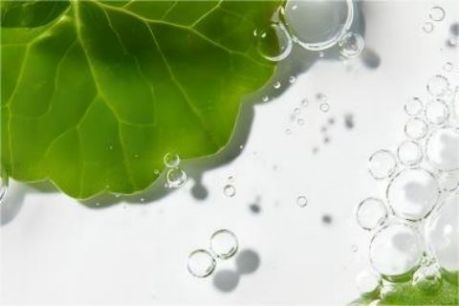 Ingredient Science | Miracle Botanical Repair Ingredients That Tigers Love