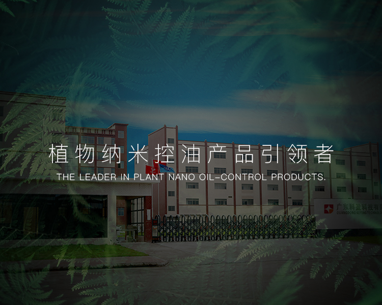 关于艾琪