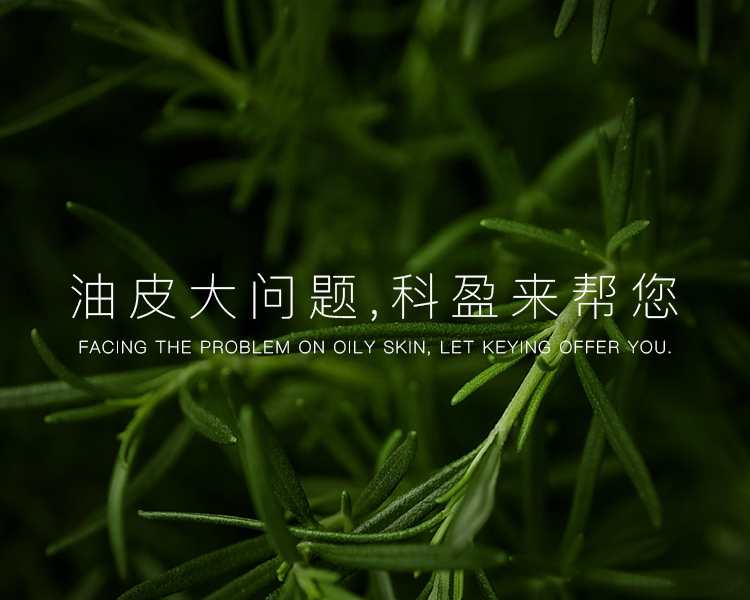 爆款推荐